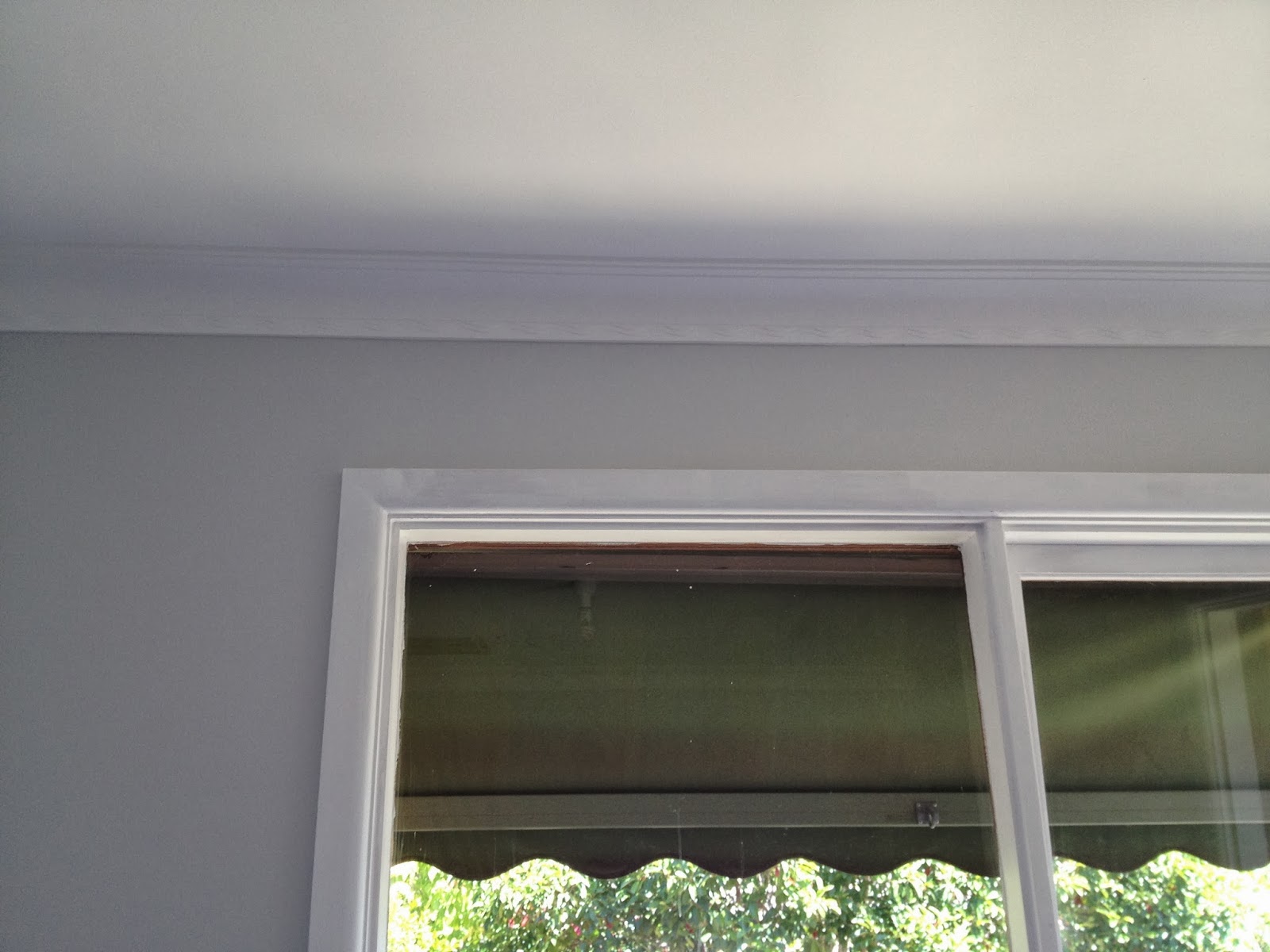 My Damco Kitchen Renovation Journey What color paint? There are whites